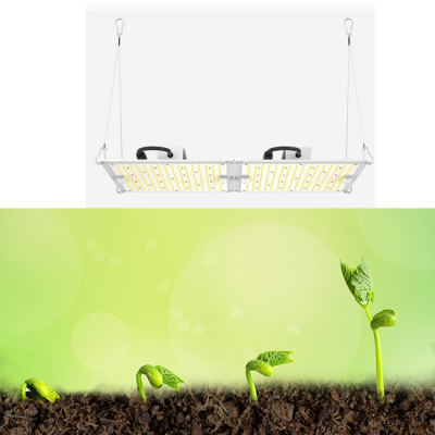 LED grow light D series