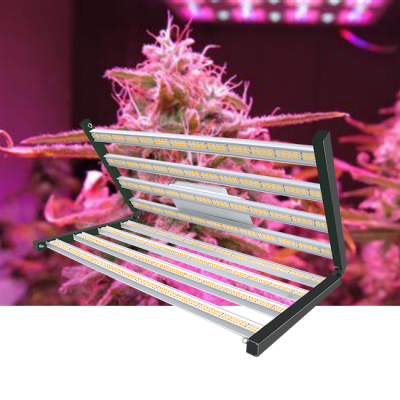 LED grow light C series